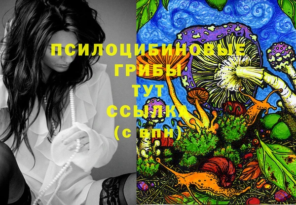 ПСИЛОЦИБИНОВЫЕ ГРИБЫ Богородицк
