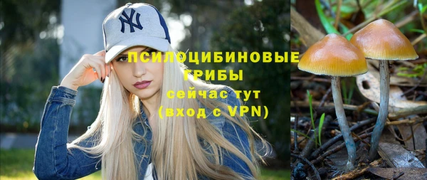 ПСИЛОЦИБИНОВЫЕ ГРИБЫ Богородицк