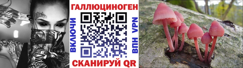 Купить где  Алексин  Галлюциногенные грибы прущие грибы 
